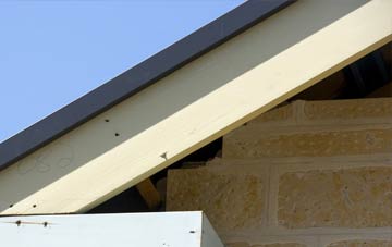 Holwell fascia repairs