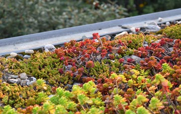 the cost of Holwell green roof installation