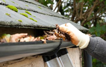 gutter cleaning Holwell