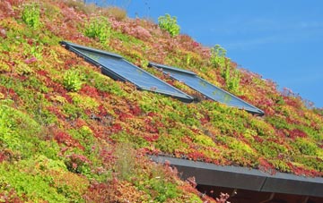 Holwell living roof systems