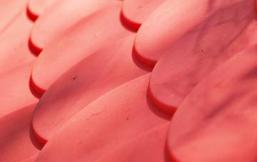 Holwell plastic roof costs