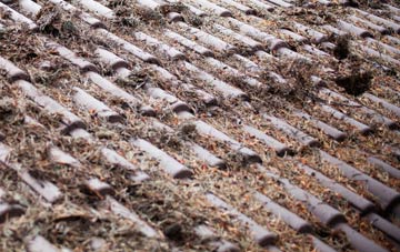 Holwell roof cleaning companies