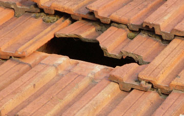 roof repair Holwell