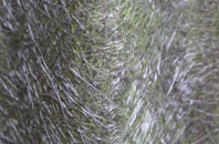 Holwell fibreglass roof work